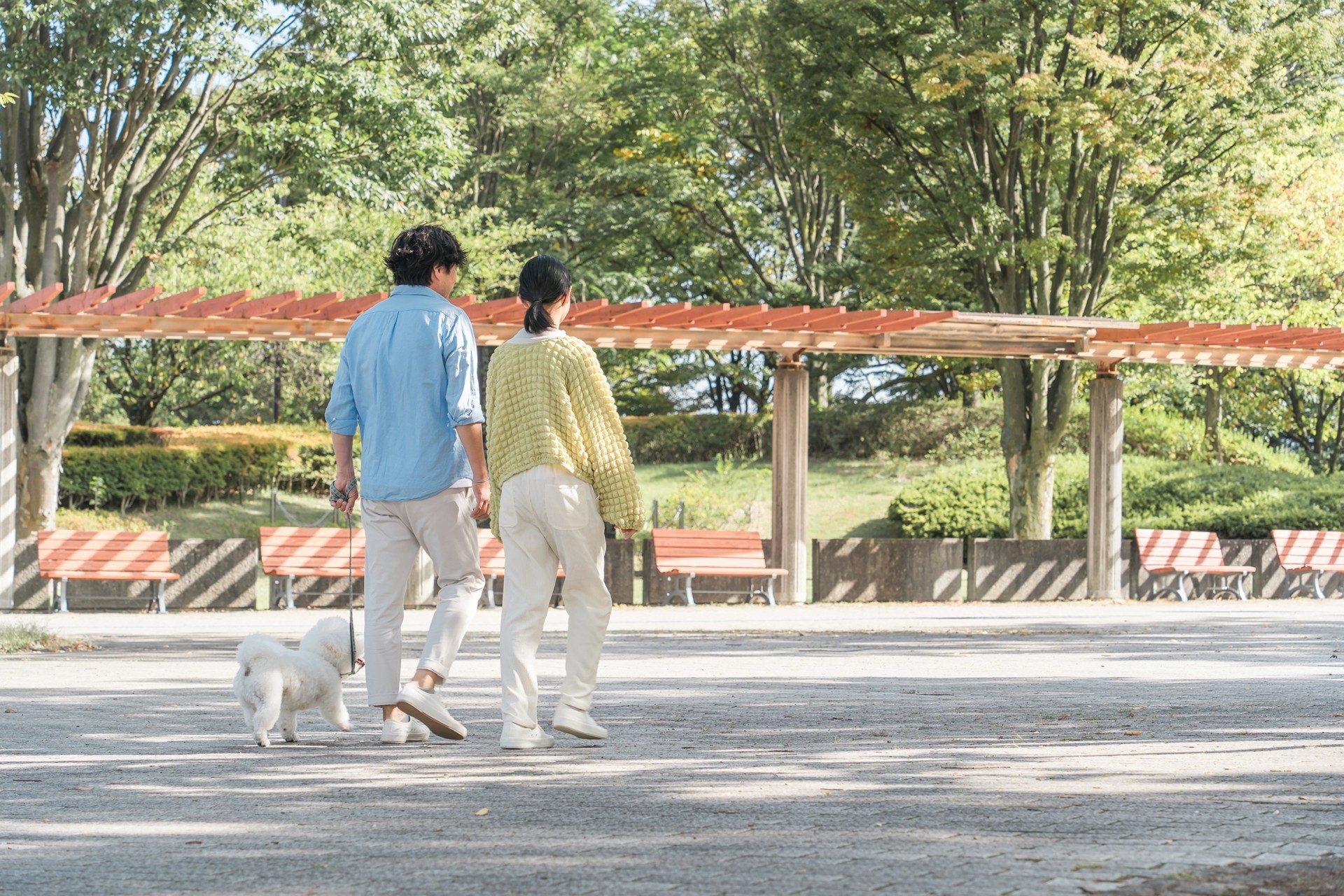 愛知県でペットと快適に過ごすための地域情報